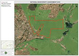 Image result for Leucas sexdentata