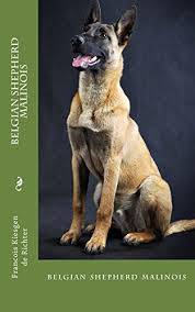 Find images of belgian malinois. Belgian Shepherd Malinois Belgian Shepherd Malinois English Edition Ebook Kiesgen De Richter Francois Amazon De Kindle Shop