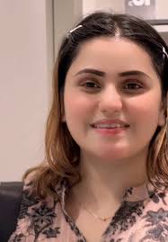 PMLN Zindabad: A Celebration of Political Spirit