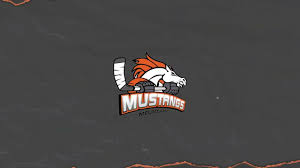 Melbourne Mustangs, Ice Hockey Australia, Ice Hockey