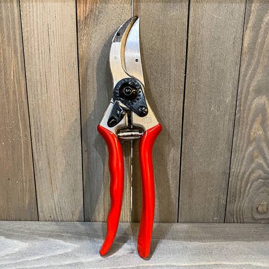 The Felco 2 remains the industry gold standard., AI generated