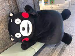 くまモン 公式 on twitter in 2021 travel pillow pics kumamon