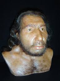Der neandertaler (homo neanderthalensis) trat etwa vor 200.000 bis viele paläanthropologen würden den neandertaler lieber als unterart homo sapiens neanderthalensis sehen. Rheintal De Der Neandertaler