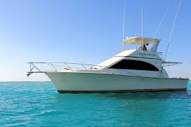 Check spelling or type a new query. Punta Cana Private Half Day Fishing Charter With Open Bar 2021