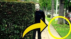 You can also download full movies from himovies.to and watch it later if you want. 10 Secrets From The Set Of John Carpenter S Halloween 1978