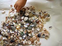 I just think that this one piece of coastal home decor is simply an essential for a beach house. Sea Shell Art Craft Alpha Mom