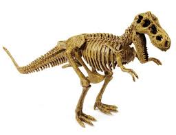 Tyrannosaurus Rex T Rex Iskeleti Dinozor Kazi Seti Boyama Kitaplari Oyuncak