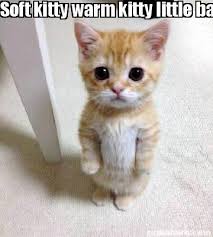 There's flowers in my heart. Meme Creator Funny Soft Kitty Warm Kitty Little Ball Of Fur Happy Kitty Sleepy Kitty Purr Purr Purr Meme Generator At Memecreator Org