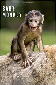 Today, there are about 280 known living species of monkey found on this planet. Baby Monkey Animal Notebook For Kids Notebook For Coloring Drawing And Writing 110 Pages Unlined 6 X 9 Animal Notebook Notebook Animal Journals Notebooks 9781093226102 Amazon Com Books