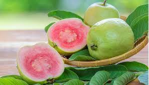 Guava - Dr Earth