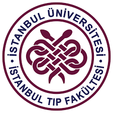 İstanbul üniversitesi tıp fakültesi kulak burun boğaz (kbb) hastalıkları ana bilim dalı öğretim üyesi prof. Istanbul Universitesi Istanbul Tip Fakultesi