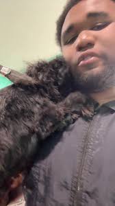 Justin Bingham Rescue