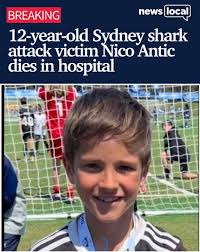 Shark attack victim Nico Antic has died. In a statement released by his  family this afternoon, his parents Juan and Lorena paid tribute to their  'happy, friendly and sporty' 12-year-old boy ▶️