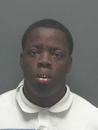 Lee County arrests, 4/17