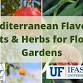 Mediterranean Flavors: Fruits & Herbs for Florida event image