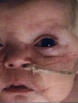 Kassidy Mosher Obituary