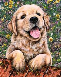 Cute Little Dog Dog Portraits Puppy Art Dog Art