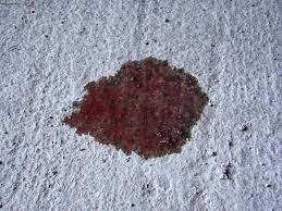 We did not find results for: Stop Transmission Leaks Avoid High Repair Costs Bluedevil Products