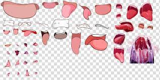 Anime Mouths Cookierecipes Masks reference sheet by kibbitzer on deviantart. anime mouths cookierecipes