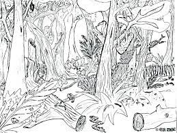 Choose from more than 500 animals, plants and habitats below. Animal Habitat Colouring Pages Coloring And Drawing