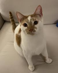 Maybe you would like to learn more about one of these? Tlc Pet Food Reddit The Y Guide