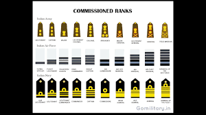 Efficient Military Ranks Insignias And Equivalents Hierarchy