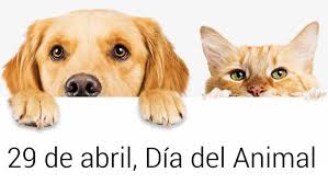 El día del animal en la argentina se celebra todos los 29 de abril en honor al abogado ignacio lucas albarracín.en una jornada especial, destinada a llenar de mimos a nuestras mascotas se. 29 De Abril Dia Del Animal Argentina En El Mundo