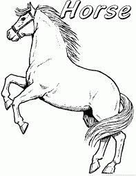 Keep little ones occupied durin. Horse Coloring Pages Preschool And Kindergarten Horse Coloring Pages Horse Coloring Books Horse Coloring