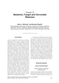 Https Betuco Be Manioc Cassava 20 20bacterial 20fungal 20diseases Pdf