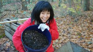Trees new york, new york, new york. How Diapers Become Fruit Trees Dwih New York