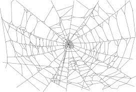Free Clipart Realistic Spider Web Animals Spider Web Drawing Web Tattoo Spider Art