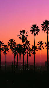 If you have your own one, just send us the image and we will show. Los Angeles Sunset With Palm Trees Wallpapers