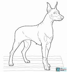 Doberman Coloring Page Free Printable Coloring Pages For Funny Doberman Coloring Pages Doberman Risunki Zhivotnyh Raskraski