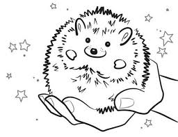 Supercoloring.com is a super fun for all ages: Hedgehog Colouring Sheet Google Search Baby Hedgehog Coloring Pages Colouring Pages