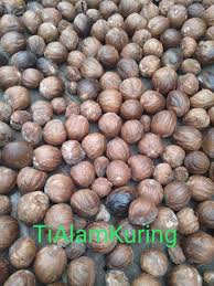 It play an important role in the malaysian cuisine. Jual Buah Pala Muda Kering Atau Biji Pala 1 Kg Di Lapak Tialamkuring Bukalapak