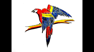 Check spelling or type a new query. Lukisan Burung Helang Cikimm Com