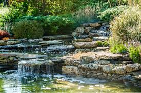 Water Feature Ideas for Your Dream Backyard