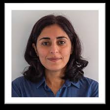 Professor Nasim Alem