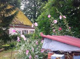 6,946 likes · 413 talking about this · 2,812 were here. Nachhaltiger Urlaub In Der Uckermark Rebeccas Welt