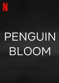 Where to watch penguin bloom penguin bloom movie free online penguin bloom 2021 hd. Penguin Bloom Movie Poster 575198