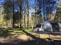 Perfect Weather For A Birthday Weekend Away Poplars Victoria Camping Hiking Outdoors Tent Outdoor Caravan Perfect Weather Weekends Away Birthday Weekend