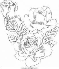 8 Nouveau De Dessin Bouquet De Roses Photographie Dessin Coloriage Chaton Dessin Rose