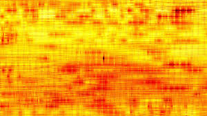 We provide us type a plug (not eu, au, uk). Yellow Neon Wallpaper 4k Novocom Top