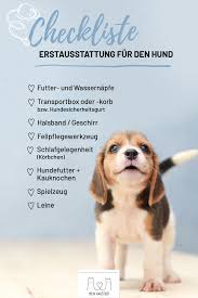 Bevor Ihr Euch Einen Hund Ins Haus Holt Solltet Ihr Euch Das Passende Zubehor Zulegen Wir Zeigen Euch An Was Ihr Alles Denken Musst Hunde Boo Hund Haustier