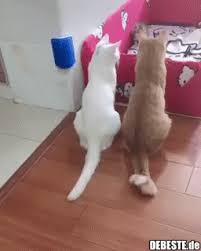 Search, discover and share your favorite lustig gifs. Sie Passen Auf Ihre Kinder Auf Lustige Bilder Spruche Witze Echt Lustig