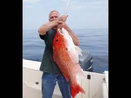 What is the best snapper to eat? Huge Red Snapper One Of The Biggest On Youtube Bottom Fishing On Independence Day Youtube