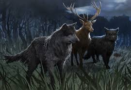 The Dark And Tragic Timeline Of The Marauders