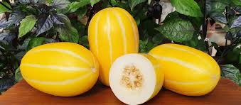 As a vining plant, you'll need to. Melons Early Silver Line Melon Korean Melon Asian Melon