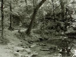 With so many fun and scary halloween decorations ideas to choose from, it's no wonder why you'll have all of your guests screaming in delight. Research Finding Over The Water Rope Tree Swings Fraught With Danger University Of Mississippi Medical Center