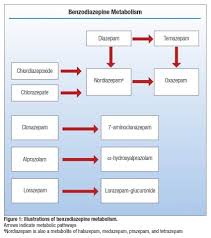 Demystifying Benzodiazepine Urine Drug Screen Results